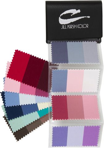 Gray and Ash Blonde Hair Swatch Book